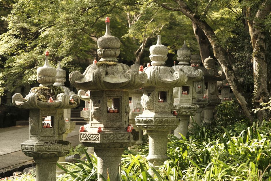 Serene forest scene featuring traditional Japanese stone lanterns amidst lush greenery.